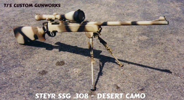 Steyr SSG .308 With Custom Desert Camouflage Painted